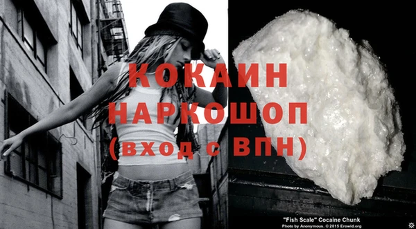 стаф Абаза