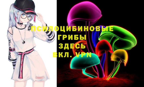 стаф Абаза