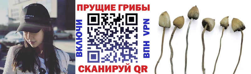 кракен как зайти  Моршанск  Галлюциногенные грибы MAGIC MUSHROOMS  купить наркотик 