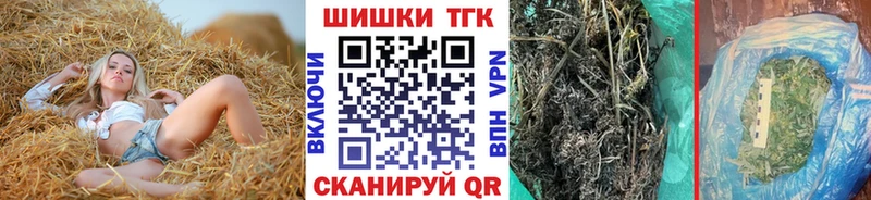 Бошки Шишки план  Моршанск 